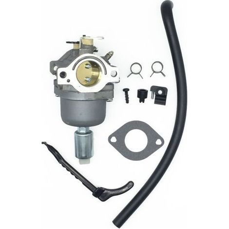 Carburateur pour Moteurs Briggs & Stratton 287707 287776 287777 310707 310777 698620 690194 791886 799727 496796 499153 695412 792768 Remplacement du carburateur (1/4)