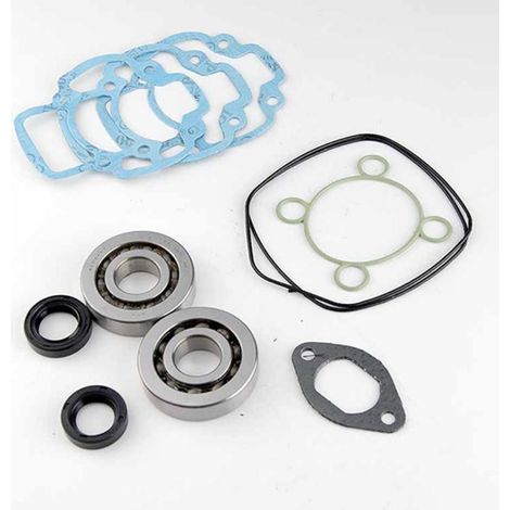 lager oder dichtung spi motor teknix für roller derbi 50 gp1 neu