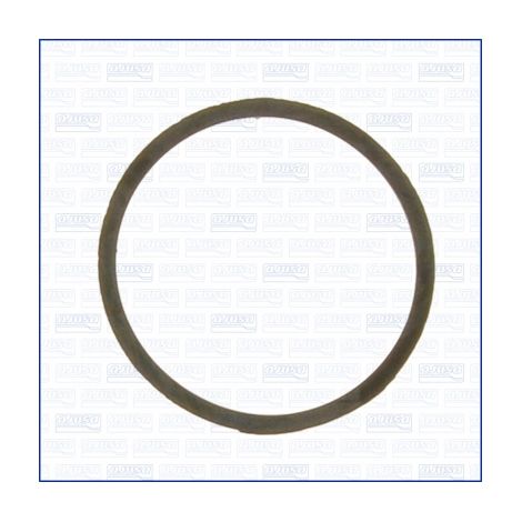 Joint d'étanchéité, thermostat Ajusa 00963000 CITROËN 1340.60 1723204