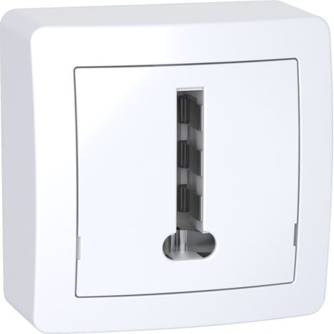 SCHNEIDER ELECTRIC SC5SHN0262366P ALREA TELÉFONO FRANCESA 8 CONTACTOS CON MARCO SUPERFICIE,