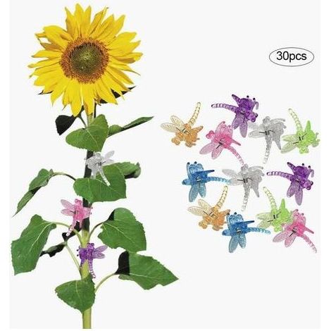 Support Pour Plantes Grimpantes 30 Pcs Libellule Orchidée Clips Plante Clips Pour Plante Vignes Jardin Fleur Soutien (1/5)