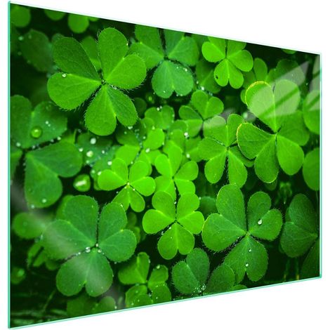 Plaque de protection en verre pour poêle 70x52 Feuille (1/5)