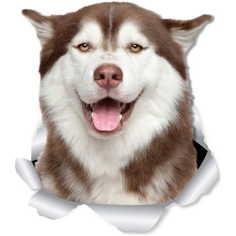 2er-Set Siberian Husky Wandsticker - 3D Aufkleber für Wände, Autos, Toiletten und mehr - Husky Geschenkverpackung 10 x 12CM