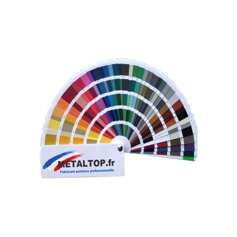 Metaltop – Nuancier peinture RAL 191 couleurs – Fabrication française – Dimensions 21x4 cm – Protection intérieure/extérieure 12 ans