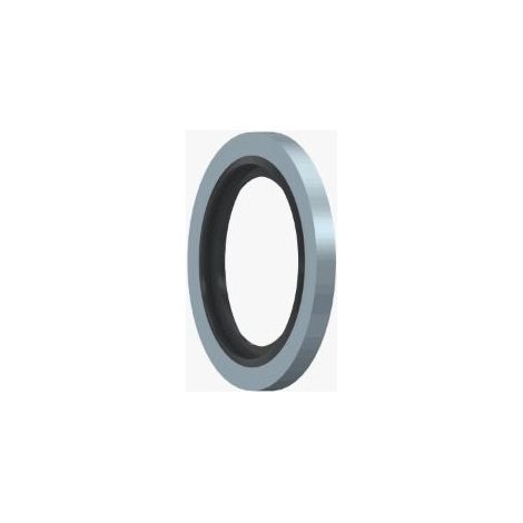 JUNTA METAL BUNA BSP 1" BSP - DICSA