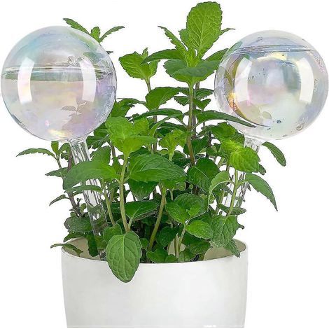 Arroseur automatique pour plantes en pot, distributeur d'eau pour plantes d'intérieur, système d'arrosage automatique pour plantes d'intérieur, comment arroser les plantes en pot (1/5)