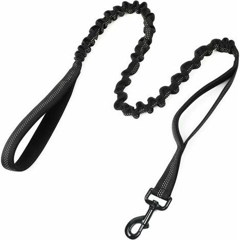 Laisse Chien, Laisse pour Chien de Travail Militaire, Laisse Corde élastique, Amortisseur Laisse, Bungee Laisse Réfléchissante avec 2 Poignées de Contrle, Idéal pour Marche et Entranement (1/5)