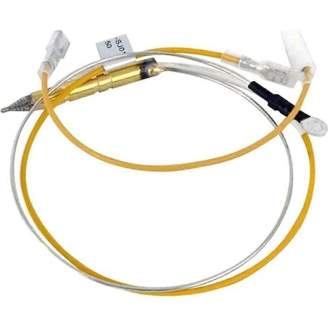 Ensemble thermocouple F237349 avec interrupteur anti-basculement