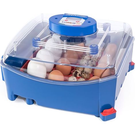 Incubatrice automatica per uova di uccelli Lumia 16, misure 39x34x24 cm