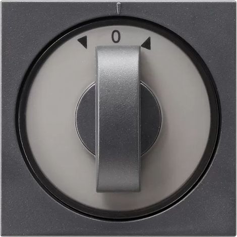 Gira Abdeckung 066628 Knebel Zeit+Jalousie System55 Ant (1/2)