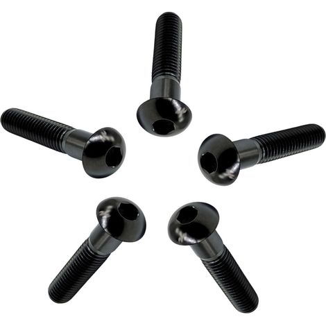 Vis à Tête Bombée M4/M5/M6/M8 en Titane GR5, 5 Pièces Vis à Tête de Bouton Boulons à Six Pans Creux Allen Boulon à Douille Hexagonale Vis à Métaux (1/5)