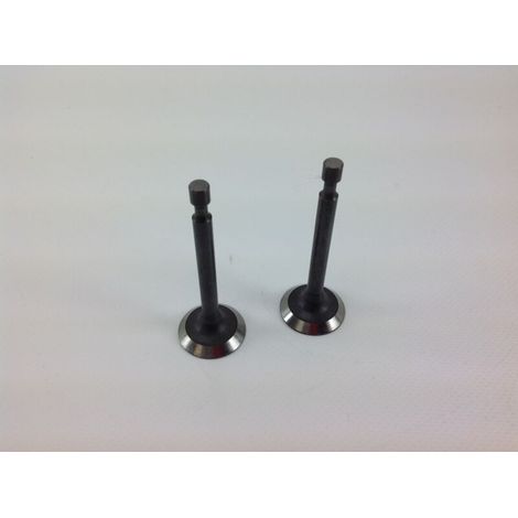 Kit soupape d'aspiration, échappement moteur 1P65FE 550034 (1/3)