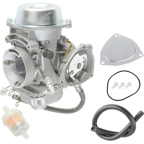 Motor-Vergaser kompatibel mit Polaris Sportsman 500, 4x4 Benzinmotor (1/5)