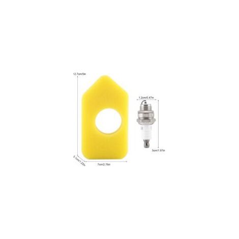 Vergasermembran-Dichtungssatz, Zündkerze und Luftfilter für Briggs & Stratton Motoren und viele andere Kleinmotoren.