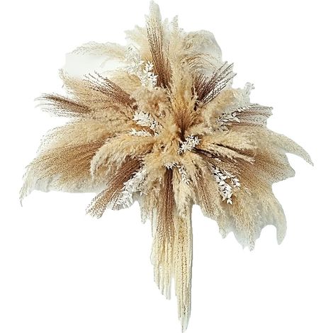 Herbe de Pampas, Idéale pour les Mariages, Décoration Intérieure Polyvalente, Beige (1/2)
