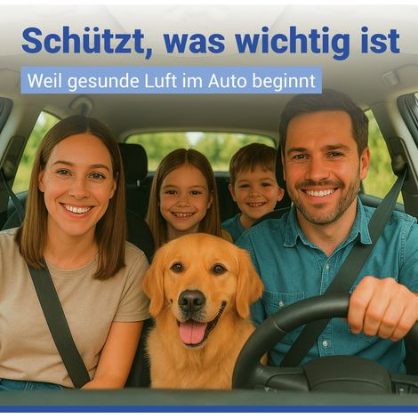 Feuchtigkeitsabsorber für das Auto mit Anzeige, 1kg, WENKO (1/5)
