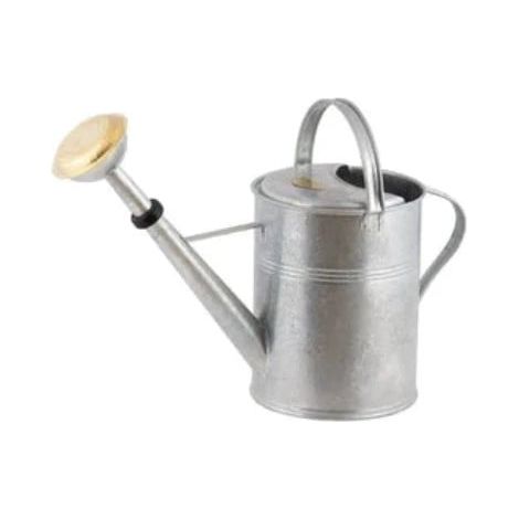 Arrosoir de Jardin pour l'Arrosage des Plantes, Fleurs et Potager - Contenance 9 Litres - PANGIVO
