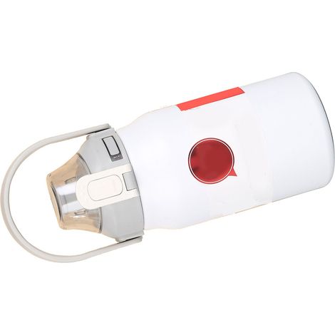 Gourde isotherme en acier inoxydable 316, grande capacité (1,2 L), motif flocon de neige, idéale pour le sport. (1/5)