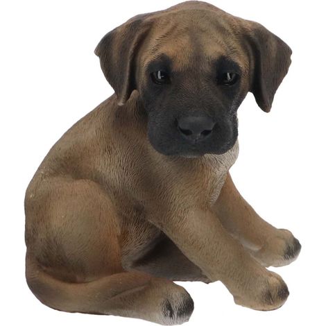 Chiot dogue allemand assis en résine (1/5)