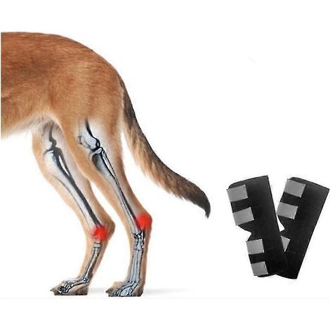 Attelle longue pour patte arrière de chien, bandages pour jarret avec sangles réfléchissantes de sécurité pour la protection contre les blessures et les entorses, la cicatrisation des plaies et la per (1/2)