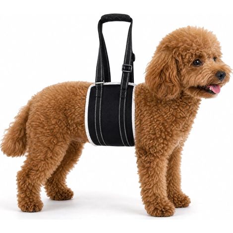 Harnais de levage pour chiens de petite taille, sangle pour pattes arrière, harnais de soutien de mobilité des pattes arrière, sangle d'assistance souple pour chiens âgés handicapés blessés (1/5)