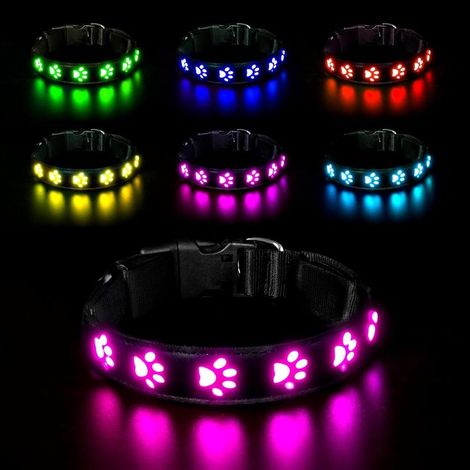 Collier lumineux pour chien étanche – Rechargeable USB – Visibilité 500m – 7 modes d'éclairage – Taille M : 40 à 50 cm (1/5)