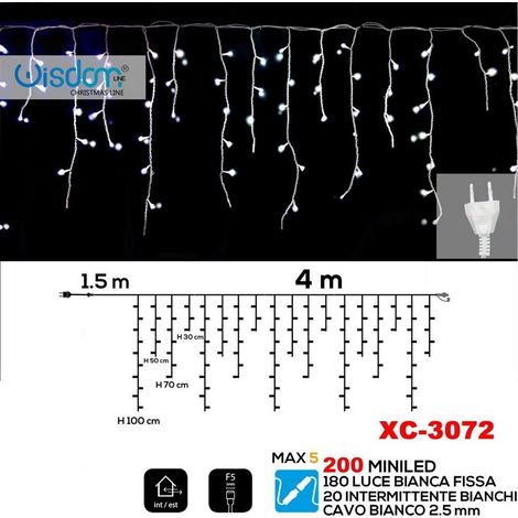 Trade Shop - Tenda Luminosa Natalizia 200led Luce Bianca Fissa + Bianca Intermittente Xc-3072 -