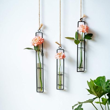 Vase en Verre en Fer Forgé, Récipient Hydroponique Suspendu, Tube en Verre, Arrangement Floral, Panier Suspendu, Jardin, Noir (1/4)