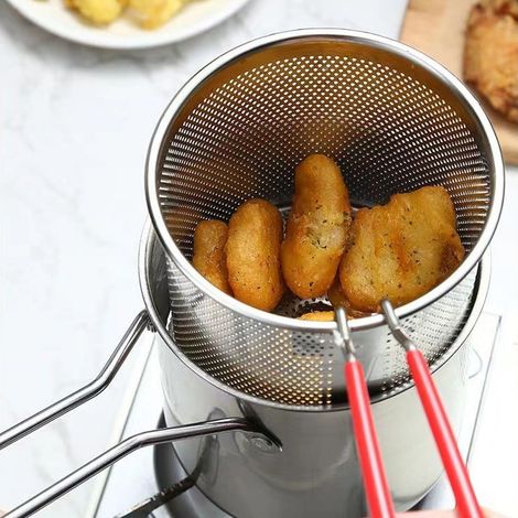Friteuse en acier inoxydable 304, mini-friteuse économe en huile, style japonais pour tempura avec passoire (1/5)