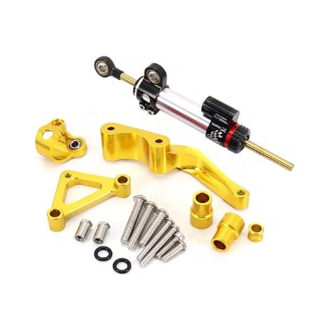 Ducati Monster 1100S 2018 - Kit de conversion pour moto : amortisseur de direction en titane pour une meilleure stabilité. (1/4)