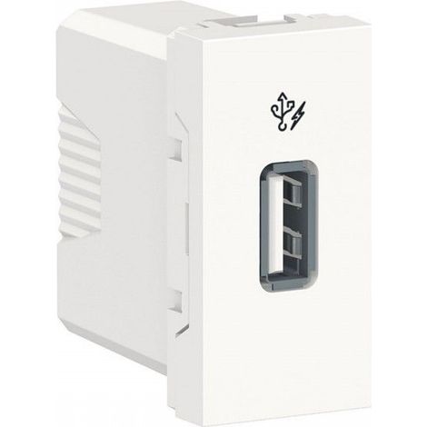 Caricatore semplice USB 1A 2 moduli polare SCHNEIDER NU342818