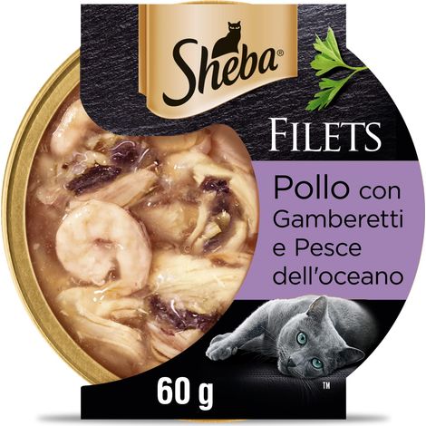 Sheba Filets Cibo Umido per gatti con Pollo e Gamberetti, 32 vaschette da 60g ognuna, Totale 1920g (1/5)