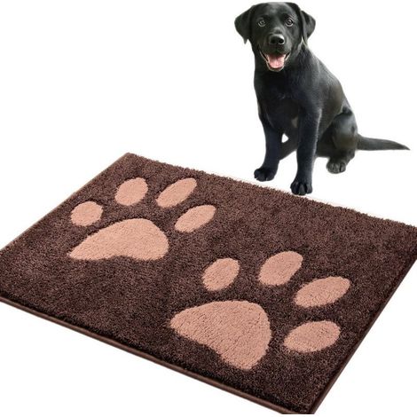 Paillasson Interieur 60 x 90 cm, Tapis d'Entrée Antidérapant et Lavable en Machine, Tapis de Sol Douces Absorbantes pour Chien, Entrée, Porte, Couloir (1/5)