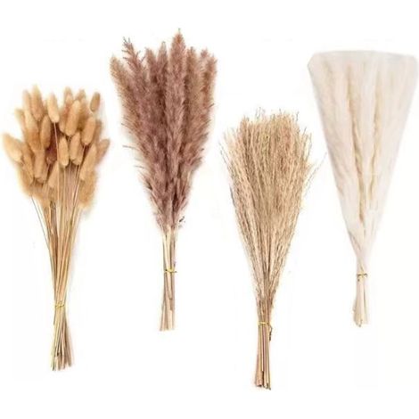 Décoration herbe de la pampa séchée, bouquet bohème avec queues de lapin (100 pcs, blanc et marron) (1/5)