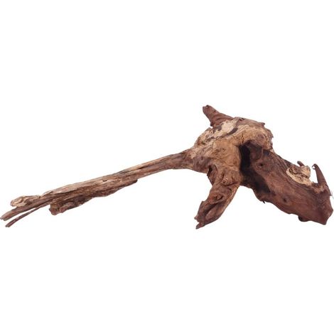 L Driftwood Flußwurzel Nr.4867 Holz Deko Aquascaping