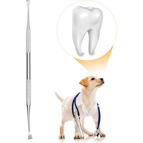 Détartreur dentaire double tête inox pour chien, grattoir à tartre avec angles multiples, outil de nettoyage des dents canines.