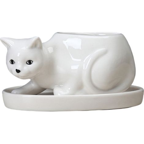 Pot de Cactus Céramique Amusant avec Soucoupe - Idée Cadeau Enfants et Bureau - Récipient pour Plantes Grasses Décoratif (1/5)
