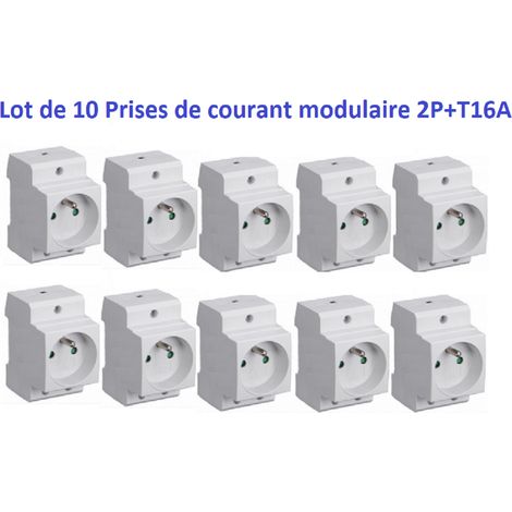 Lot de 10 Prises de courant modulaire 2P+T 16A