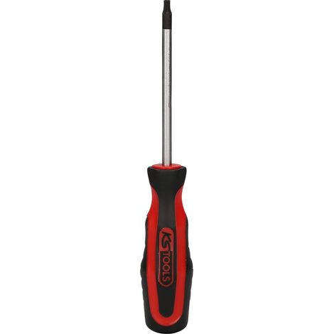 Tournevis TORX T25 100mm (1/2)