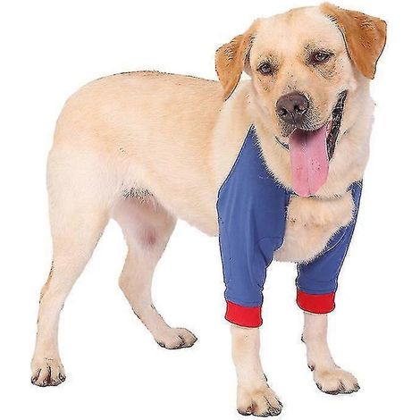 Attelles pour pattes avant de chien, protections pour coudes et talons, protègent contre les blessures et les entorses.-M-Blue (1/4)