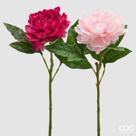EDG Ramo Peonia Con Foglie Rosso H 58