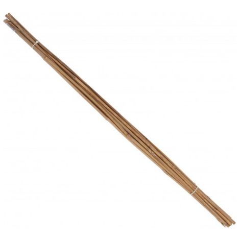 Bâton Tonkin Ø 6-8mm 75cm 10 botte (Par 10) (1/2)