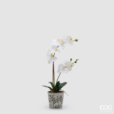 EDG Enzo De Gasperi Orchidea Phalaenopsis x2 con Bocciolo e Vaso Pianta Artificiale H 60 Cm Bianco (1/3)