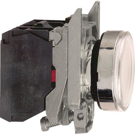 Pulsante Luminoso bianco Ø22 filoghiera ad impulso 24V 1NO+1NC