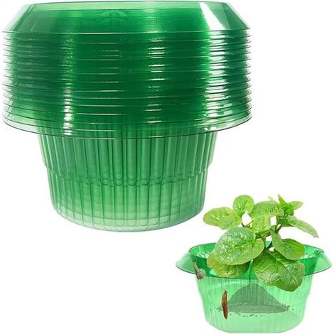 10 Légumes protecteurs - Couverture végétale - Plastique - Vert - anneaux escargots - Anneaux anti-escargots - Housses de protection antiparasitaire (1/5)