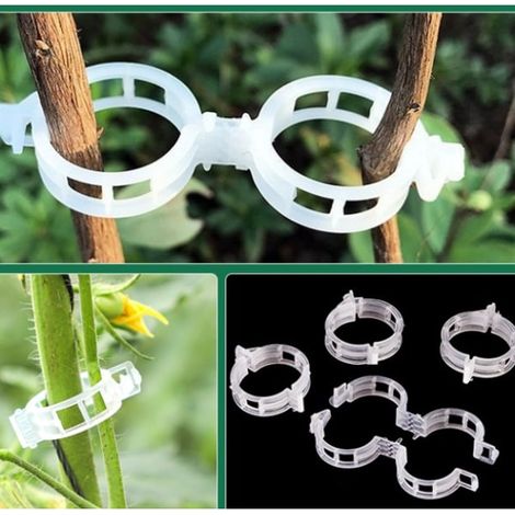 200 ensembles de pinces à plantes réutilisables en plastique (1/5)