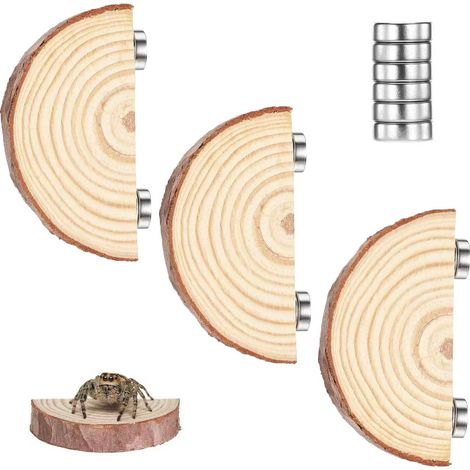 Set di 3 piattaforme da arrampicata con ragno saltatore magnetico in legno naturale - piattaforme semicircolari, accessori per terrari, decorazione per il riposo e l'aiuto per l'arrampicata, 4-5 cm (1/5)