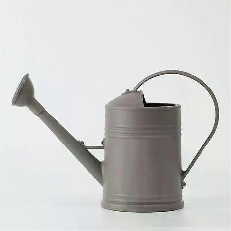 HONORNIC - Arrosoir rétro 2L pour plantes à fleurs, pot d'arrosage pour plantes grasses d'intérieur et d'extérieur, arrosoir pour bonsaïs, outil d'irrigation de jardin (1/5)