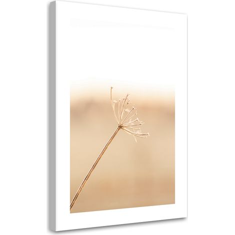 Tableau sur toile Pissenlit solitaire 70x100 (1/5)