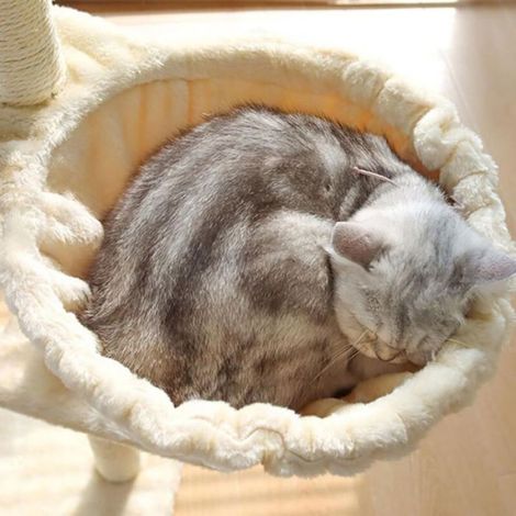 Hamac pour chat, panier pour chat, grand arbre à chat en forme de cuillère, doux, résistant aux rayures,Beige - diamètre 35 cm (1/4)